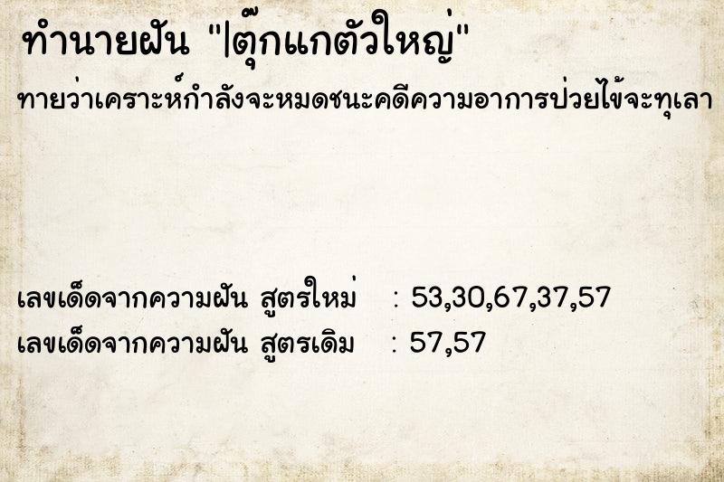 ทำนายฝันทำนายฝัน|ตุ๊กแกตัวใหญ่